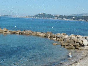 permis bateau toulon