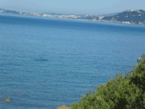 permis bateau hyères