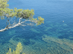 permis bateau saint-mandrier